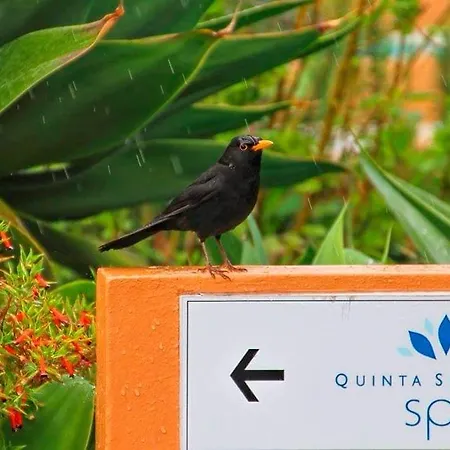 Quinta Splendida Wellness & Botanical Garden