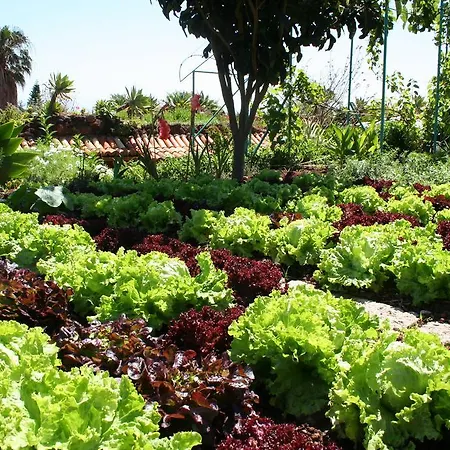 Hotel Quinta Splendida Wellness & Botanical Garden